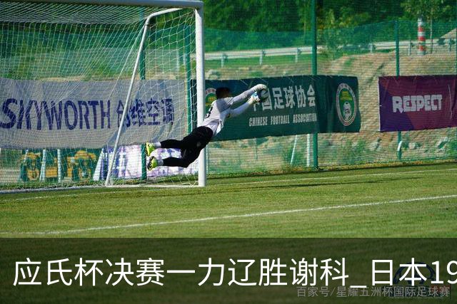 应氏杯决赛一力辽胜谢科 日本19年后重夺世冠